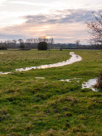 empty wet grass field low light sunset landscape dedham plain empty no people dramatic sky; essex; england; ukの写真素材
