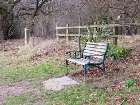 outside empty park bench autumn countryside lonely; essex; england; ukの写真素材