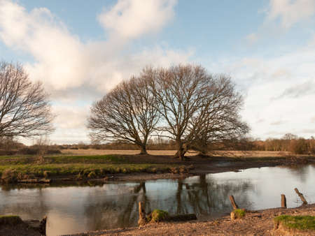 large bare tree branches over lake river country winter ; essex; england; ukの写真素材