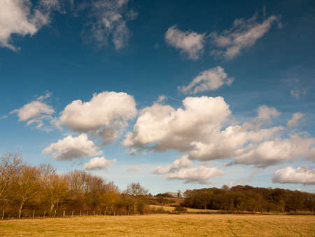 farm field agriculture bright blue with clouds countryside landscape nature; essex; england; uk