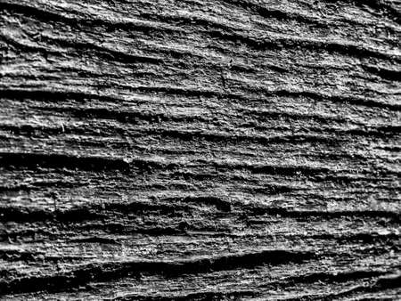 background close up view of cracked rough tree trunk bark texture black and white; essex; england; ukの写真素材