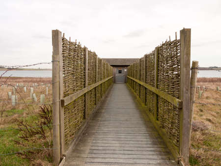 open wooden plank walkway bird hide nature reserve; essex; england; ukの写真素材