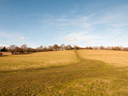massive open plain farm field grass agriculture england blue sky ahead big empty path; essex;...