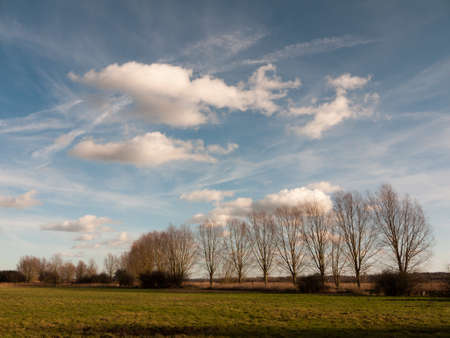view of grass land plain row of trees with clouds in blue sky sunny; essex; england; ukの写真素材