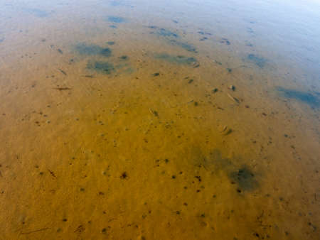 weymouth dorset sea coast sky blue beach sunset nature landscape fish water surface; Dorset; England; UKの写真素材