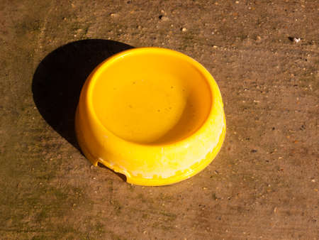 water bowl yellow dog's food summer day vintage retro object thirsty; Dorset; England; UK