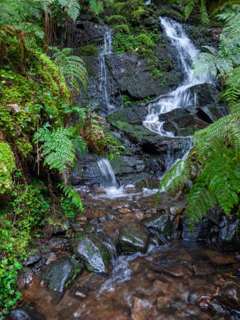 Beautiful South Wales Melincourt Falls Waterfall Rocks Wet - River Neath / Afon Nedd - Walesの写真素材