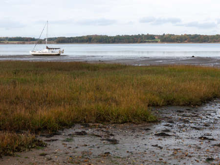 Beautiful coastal scene outside in nature, precious landscape; England; UK