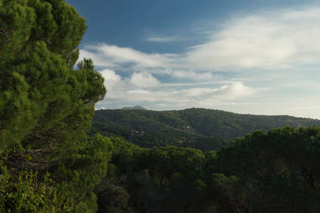 lush mountain landscape with cloudy sky backgroundの写真素材
