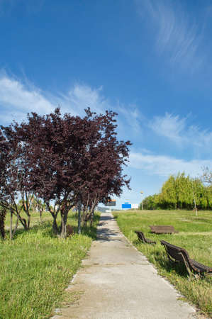 a path in a park with seats and blue skyの写真素材