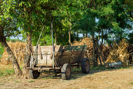 Empty romanian wood carriage in a summer dayの写真素材