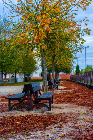 Empty benches in park in fall seasonのeditorial素材