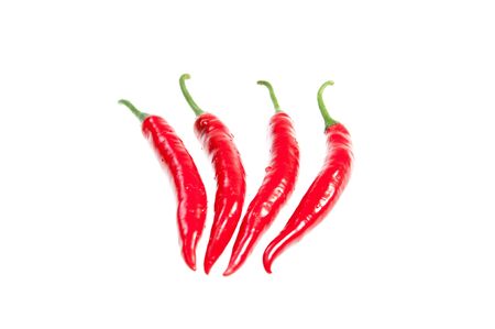 Four fresh red chilies isolated on white backgroundの写真素材