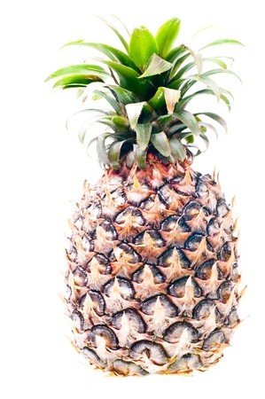 Green pineapple common to the Asian tropicsの写真素材
