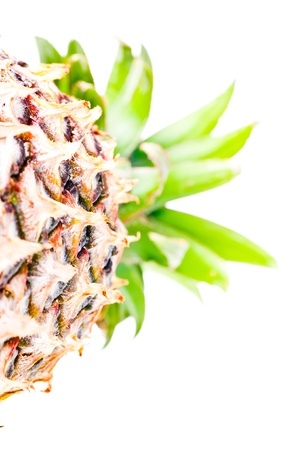 Green pineapple common to the Asian tropicsの写真素材
