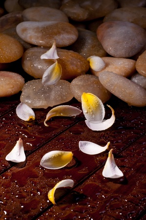 Yellow plumeria flower petals on yellow river stone on woodの写真素材