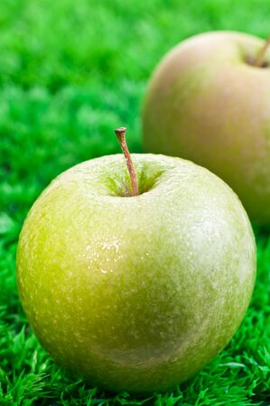 Two apples on the grass with a bokeh backgroundの写真素材