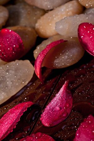 Red plumeria flower petals on yellow river stone on woodの写真素材