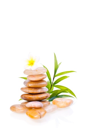 A white plumeria on yellow river stone and a bamboo plant at the backgroundの写真素材