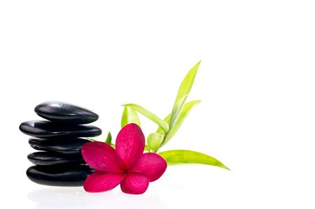 Black balanced zen stones with  bamboo and red plumeria flowerの写真素材