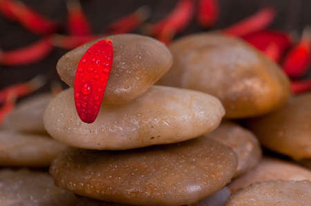 One red gerbera petal on yellow river stone close up with a background of red petalsの写真素材