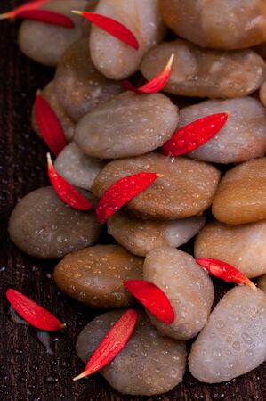 Red petals of flower on wet yellow river stone on teak woodの写真素材