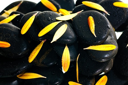 Yellow gerbera petals on black zen stone close upの写真素材