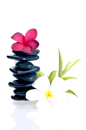 Eight balanced zen stones with red and white plumeria flower and bamboo plant over whiteの写真素材