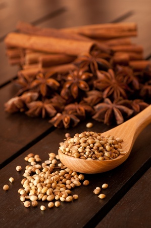 Coriander on a beech wood spoon with spices at the backgroundの写真素材