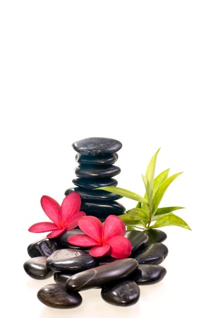Black zen stones with red frangipani flowers with bamboo plant at the backgroundの写真素材