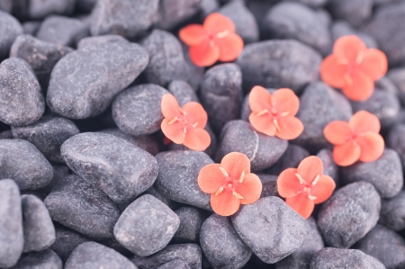Orange flowers on black zen stones close upの写真素材