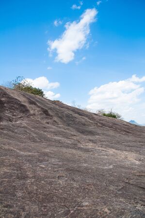 Uphill rocky path to the green woodsの写真素材