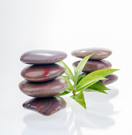 Balanced red zen stones and lucky bamboo leaves の写真素材