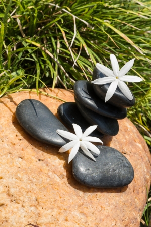 Jasmine flowers on hot black stones with grass background の写真素材