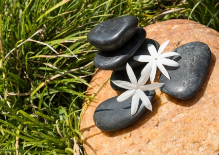 Jasmine flowers on zen black stonesの写真素材