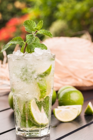 Refreshing Mojito cocktail after gardening in late afternoon の写真素材