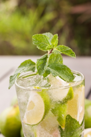 Mojito cocktail in the garden extreme close upの写真素材