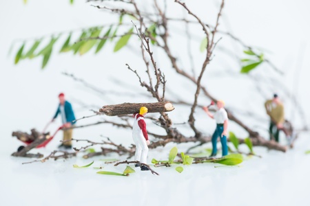 Miniature workmen cutting and felling trees togetherの写真素材