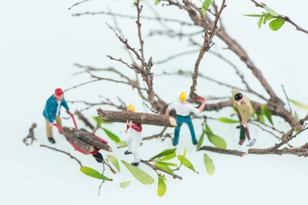 Miniature lumberjacks working together in felling and cutting treesの写真素材
