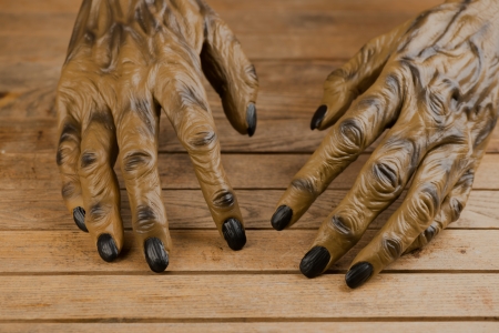 Werewolf hands top view close-upの写真素材