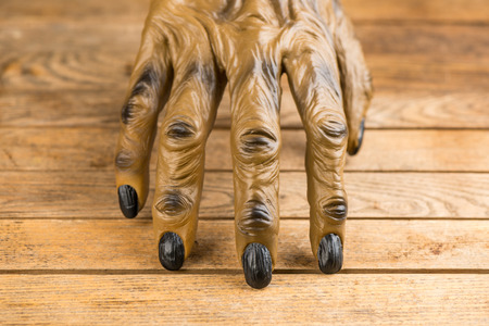 Werewolf hand for Halloween on wooden background の写真素材