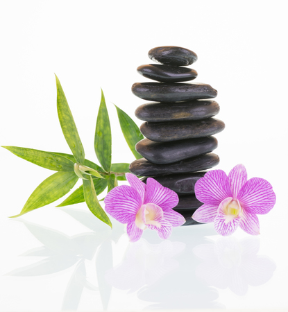 Dendrobium stripe orchids with black stones and green leaves close-upの写真素材