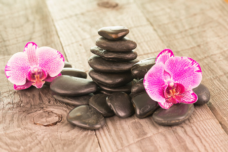 Fuchsia Moth orchids and black stones on weathered deckの写真素材