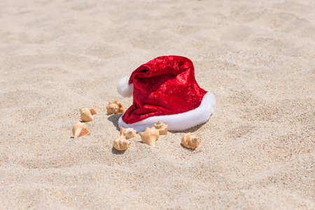 Tropical Christmas on a tranquil beach backgroundの写真素材