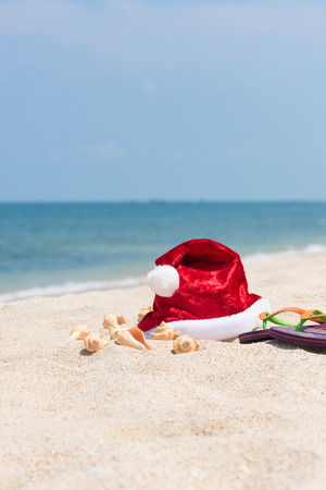 Tropical Christmasの写真素材