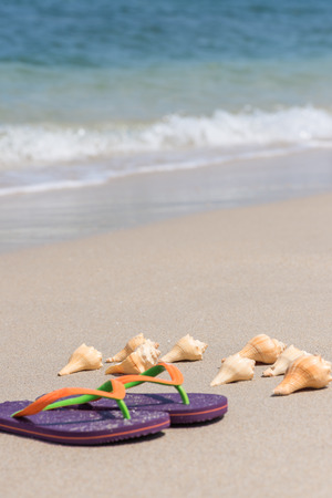 Tropical beach getawayの写真素材