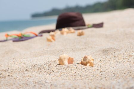 Tropical beach getaway on a remote islandの写真素材