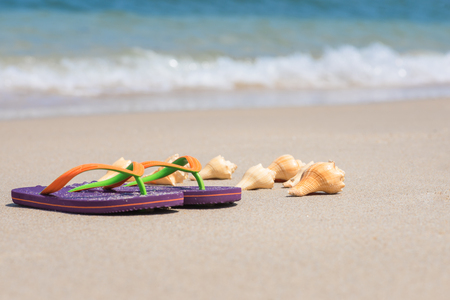Flip-flops and conch seashell on sandy beachの写真素材