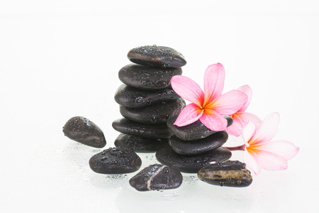 Plumeria flowers and black stones close upの写真素材