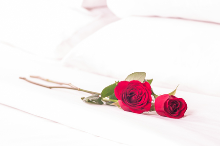Romantic getaway with red roses on bedの写真素材